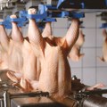 Ministarstvo: Sprečeno širenje salmonele, nebezbedno meso povučeno iz prometa i neškodljivo uništeno