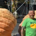 Najteža bundeva iz Mađarske od 832 kilograma: Tibor Kokai ponovo pobednik „Dana ludaje“ u Kikindi ( Foto)