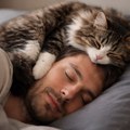 Ako mačka spava pored glave svog vlasnika, onda vam poručuje jednu stvar