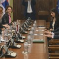 Delegacija Narodne skupštine u PSSE i Žolt Nemet o "važnosti uzajamne podrške Mađarske i Srbije"