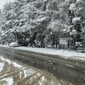 Zabelelo u Zapadnoj Srbiji: Na Zlatiboru, Tari, Kadinjači i Debelom brdu palo više od 20 centimetara snega