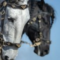 Tinejdžer (18) poginuo nakon što je ispao iz kočije u Njujorku: Konj krenuo u galop i izazvao nesreću