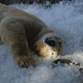 Noćna temperatura u Češkoj i Slovačkoj iznad 27 stepeni oborila toplotne rekorde
