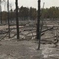 Ugašen požar u Deliblatskoj peščari