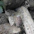 Postavljena ručna bomba u dvorište srske porodice: Kancelarija za KiM oštro osudila ovaj incident