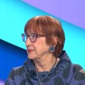 Драгићевић-Шешић: Именовање Бокана намеран шамар култури (ВИДЕО)