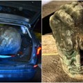 (Foto) odrubili Titu glavu Oštećen spomeniku u (Titovom) Velenju nađen u gepeku automobila sa hrvatskim tablicama