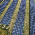 Solarne elektrane i stočarstvo zajedno: Novi model testira se u SAD