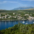 Kod Bigova snimljeno veoma retko crno stvorenje: Ovakva scena se gotovo nikada ne viđa na Balkanu!