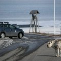 Kako se živi u najsevernijem naselju na svetu? Tamo ne sme da se umire, mačke su zabranjene, a bez ovog oružja grad ne sme…