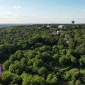 Bura zbog najave urbanizacije Košutnjaka