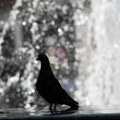 Prognoza vremena za 12. jun 2025: Danas pretežno sunčano i toplo