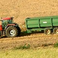 Država interveniše u otkupu pšenice - evo koja je garantovana cena