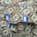Sremska Mitrovica: Uhapšen muškarac koji je razmenio 1.400 falasifikovnih dolara