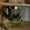Idea marketi otkupiće dva miliona litara mleka od proizvođača u Srbiji