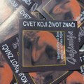 „Cvet koji život znači“: 24 ulična akcija prodaje cveća namenjena Fondu Savetovališta za žene sa invaliditetom obolele od raka…