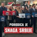 Na izbornoj listi Bogoljuba Karića iz Niša samo jedan kandidat