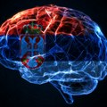 Science: Srpski parlament biće najobrazovaniji na svetu