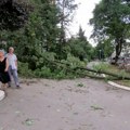 Šapić: Sanacija štete od oluje u Beogradu trajaće sedam do deset dana