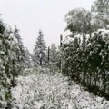 U sjeničkoj opštini desetak sela u snežnoj blokadi