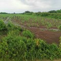 Град нанео штету на усевима у селима на територији општине Кнић