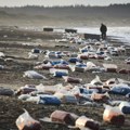 Ako vam nije stigao paket, možda se nalazi na dnu okeana: Izgubljene pošiljke menjaju ekosistem u morima