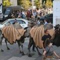 Kamile u Budimpešti za podizanje svesti o suši u Mađarskoj
