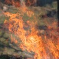 Požar na granici Crne Gore i Hrvatske, gori šuma kod Dubrovnika