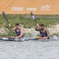 Zlato Dragosavljeviću i Jakovljeviću