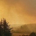 Veliki šumski požar u Severnoj Rajni-Vestfaliji: Petoro povređenih, evakuisano 2.000 ljudi