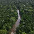 Referendum o vađenju nafte u Amazonu: Narod Ekvadora ima priliku da protera velike kompanije iz svojih šuma