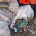 VIDEO. U „Maloj Bosni“ od smeća ne može da se prođe, leševi životinja, nameštaj, kutije, šut…