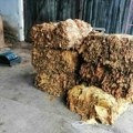 U Šapcu zaplenjeno više od dve tone rezanog duvana