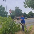 Jak vetar oštetio delove Sremske Mitrovice