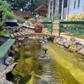 Ovako izgleda najlepše dvorište u Užicu: Ana i njen suprug stvorili svoju bajku (foto)
