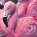 Horoskop za 1. septembar: Rakovima idealan dan za donošenje važnih odluka, Blizanci pronađite vremena za predah