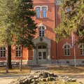 Niš, preminula žena nakon što je na nju palo drvo u dvorištu Prekršajnog suda