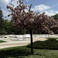 Vreli letnji dani u Srbiji: Danas do 33 stepena, osveženje i nagli pad temperature stižu krajem sedmice