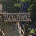 Kako opstati kada ni priroda ni tržište nisu na vašoj strani: Primer uspešne zadruge iz Banata