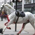 Objavljeni detalji o krvavim konjima koji su satima jurili Londonom