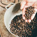 Rekordni rast cene kafe: Da li će ponovo postati luksuzna roba