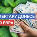 Доноси и до 7.000 евра по хектару, а може да је гаји свако! За овом биљком влада стална потражња