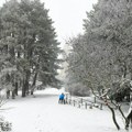 Pao sneg u Novom Sadu: Sve se zabelelo i prelepo je, a Beograđani u magli, bez ijedne pahulje