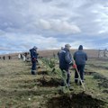 Zasađeno više od hiljadu sadnica drveća na Zlatiboru Akciji se pridružili predstavnici javnih ustanova, turističkog sektora i…