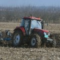 Влада усвојила измене Уредбе о подстицајима у пољопривреди, највећи део новца за три категорије произвођача