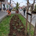 Ekipe JKP „Mediana“ danas će raditi na održavanju javne higijene, uređenju zelenih površina i održavanju drvoreda na više…