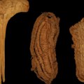 Arheologija i Španija: Pronađena najstarija cipela u Evropi