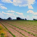 Tanasković: Nikad veći budžet za poljoprivredu