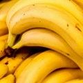 Banane ugrožene zbog bolesti koja se brzo širi: Jednoj sorti preti totalno izumiranje