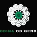 30 godina od genocida nad Bošnjacima, SDA podnela predlog rezolucije